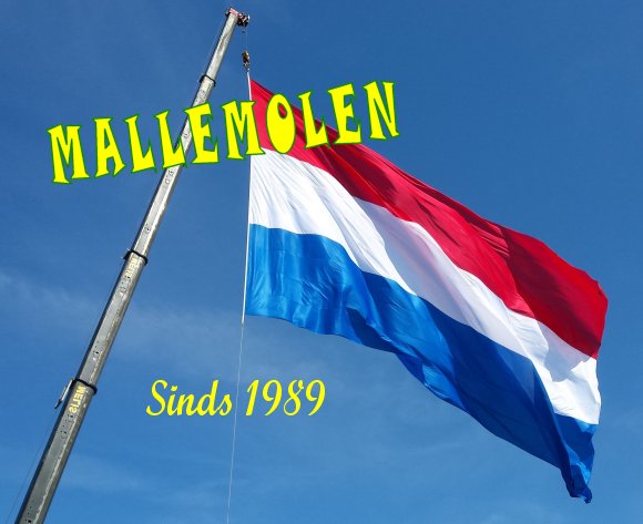 Vlag_2016